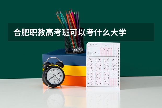 合肥职教高考班可以考什么大学