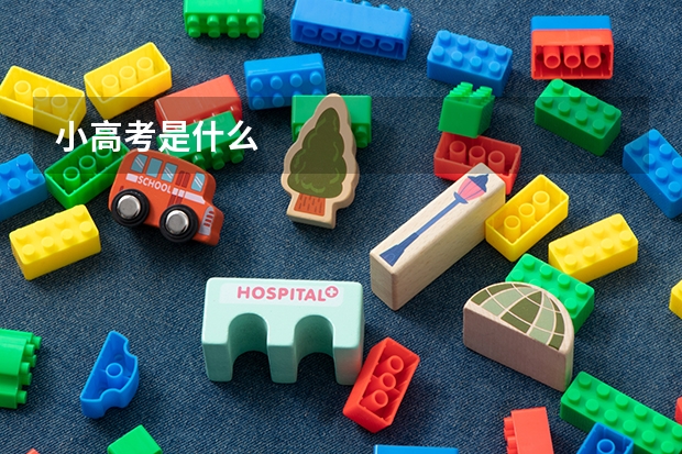 小高考是什么