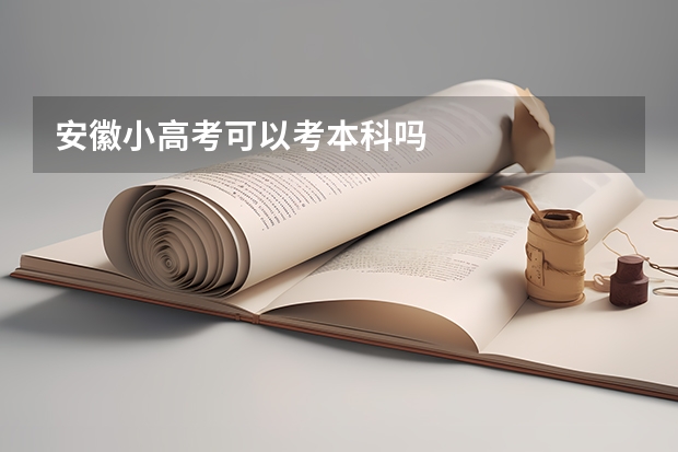 安徽小高考可以考本科吗