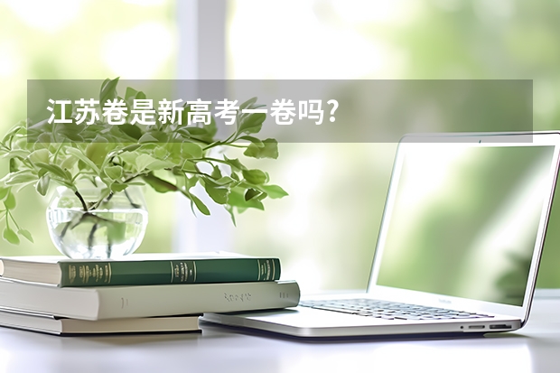 江苏卷是新高考一卷吗?