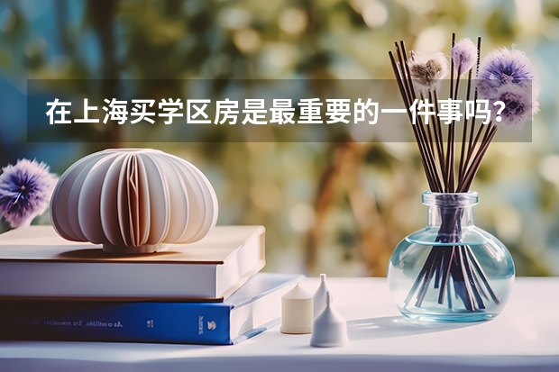 在上海买学区房是最重要的一件事吗？