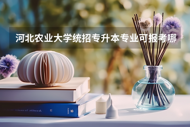 河北农业大学统招专升本专业可报考哪些？