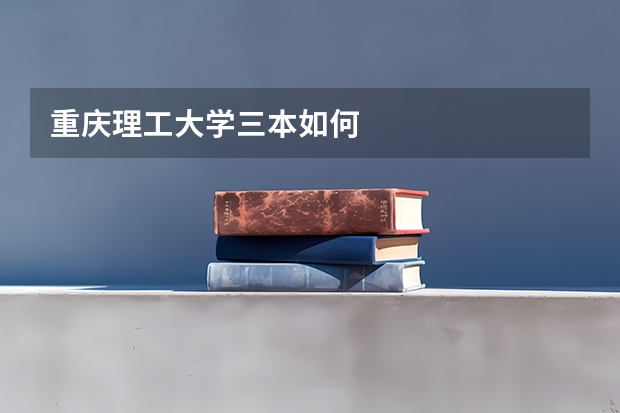 重庆理工大学三本如何