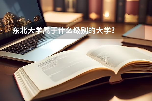 东北大学属于什么级别的大学？