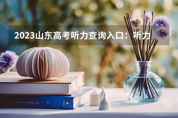 2023山东高考听力查询入口：听力成绩查询系统平台 用什么底的照片